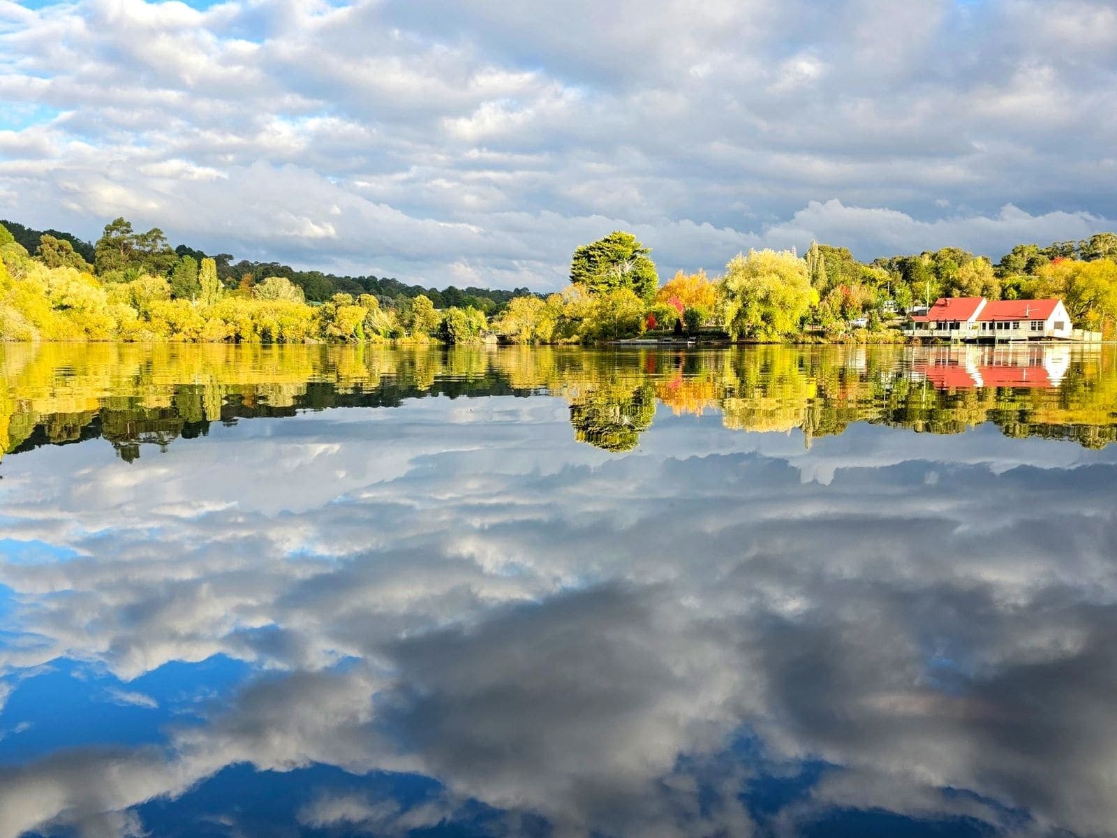 Autumn trees in yellow and orange mirrored on the flat surface of a lake