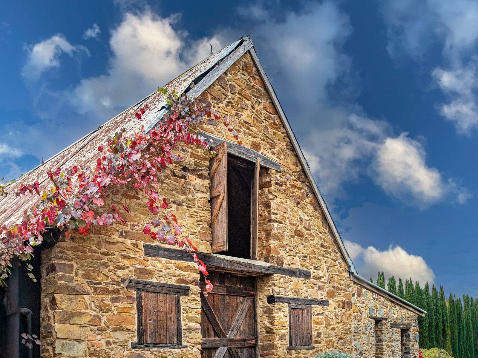 A stone barn with a steep roof and climbing vine turning red against a blue sky