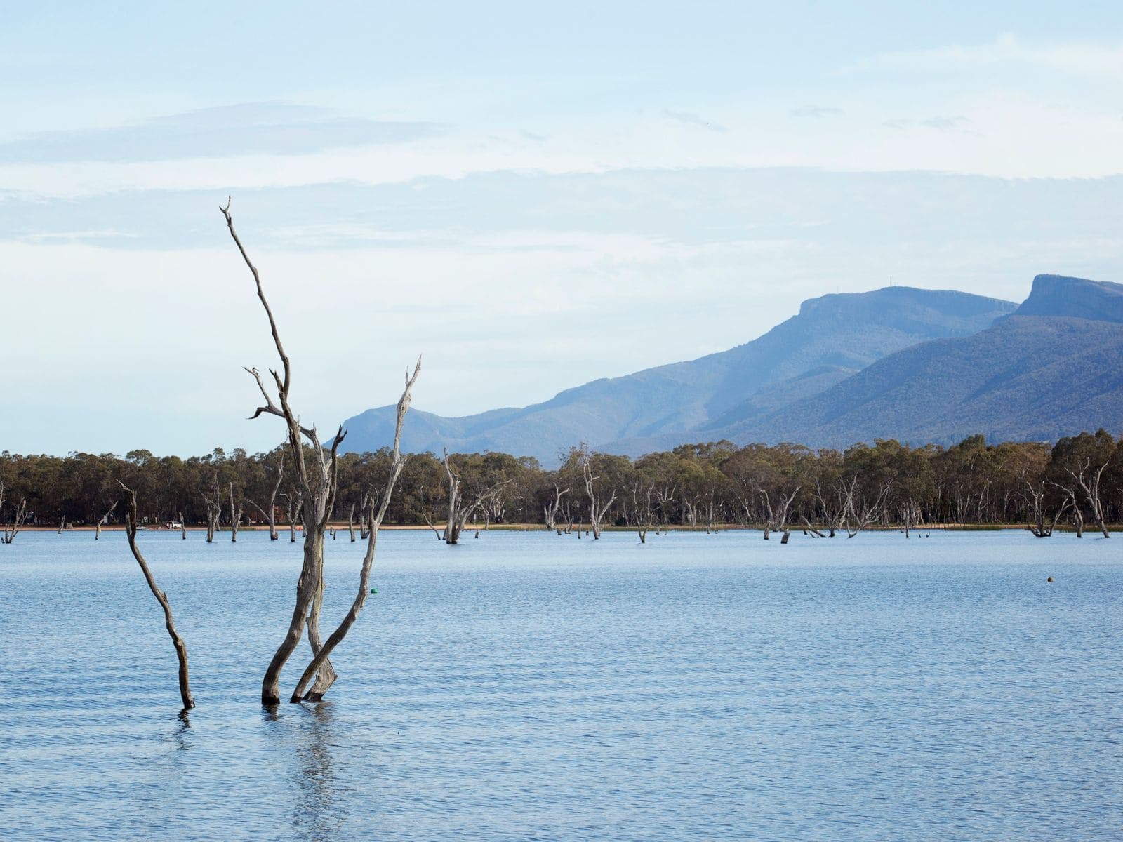 Bare tree trunks standing in a shallow lake with a long mountain range behind