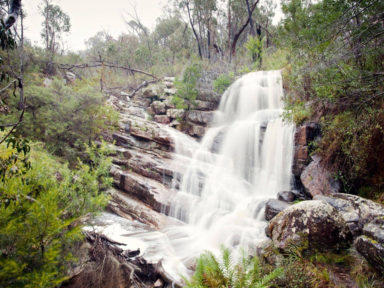 A narrow waterfall dropping over stepped rock ledges into bushland