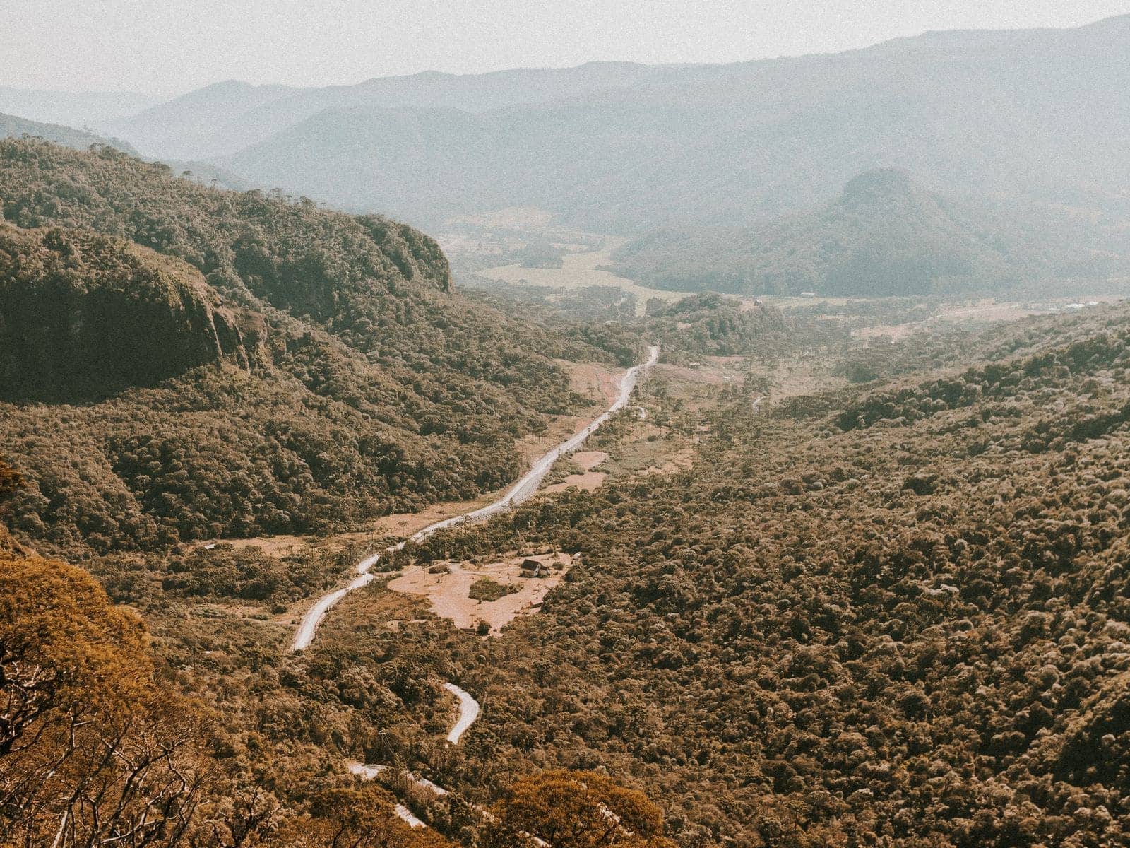 A wide bush valley seen from above, with a watercourse threading through low scrub